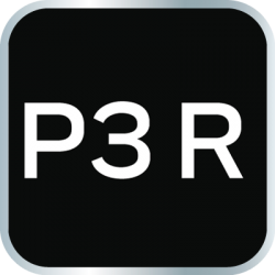 Filtr P3 R