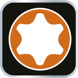 Wkrętak Torx T20 x 100 mm, S2