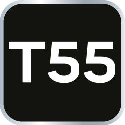 NEO Klucz Torx T55, CrV