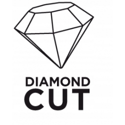 Tarcza półokrągła do ceramiki, 65 mm, galwaniczne