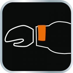 Kurtka softshell damska, rozmiar XXL