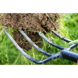 PROLINE WIDŁY GOSPODARCZE DREWNIANY TRZONEK 12398