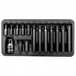 PROLINE 10741 Zestaw 15 szt końcówek TORX 10 mm
