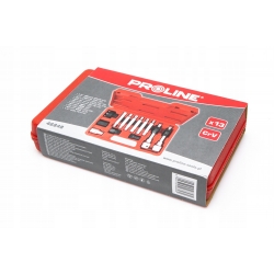 PROLINE ZESTAW KLUCZY DO ALTERNATORÓW 13SZT 46848