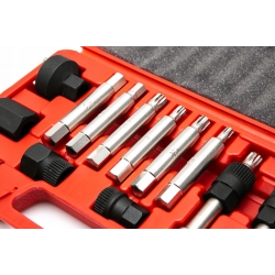 PROLINE ZESTAW KLUCZY DO ALTERNATORÓW 13SZT 46848