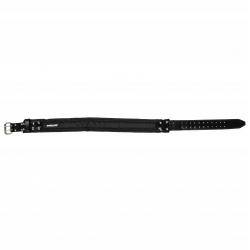 PROLINE PAS MONTERSKI WZMOCNIONY 52041