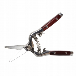 PROLINE SEKATOR NOŻYCOWY DO RÓŻ KUTY 8'' 40017